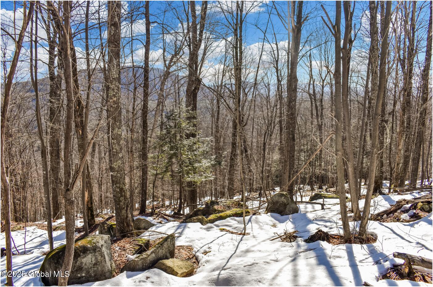 L64 Cooper Hill Road North Creek NY 12853