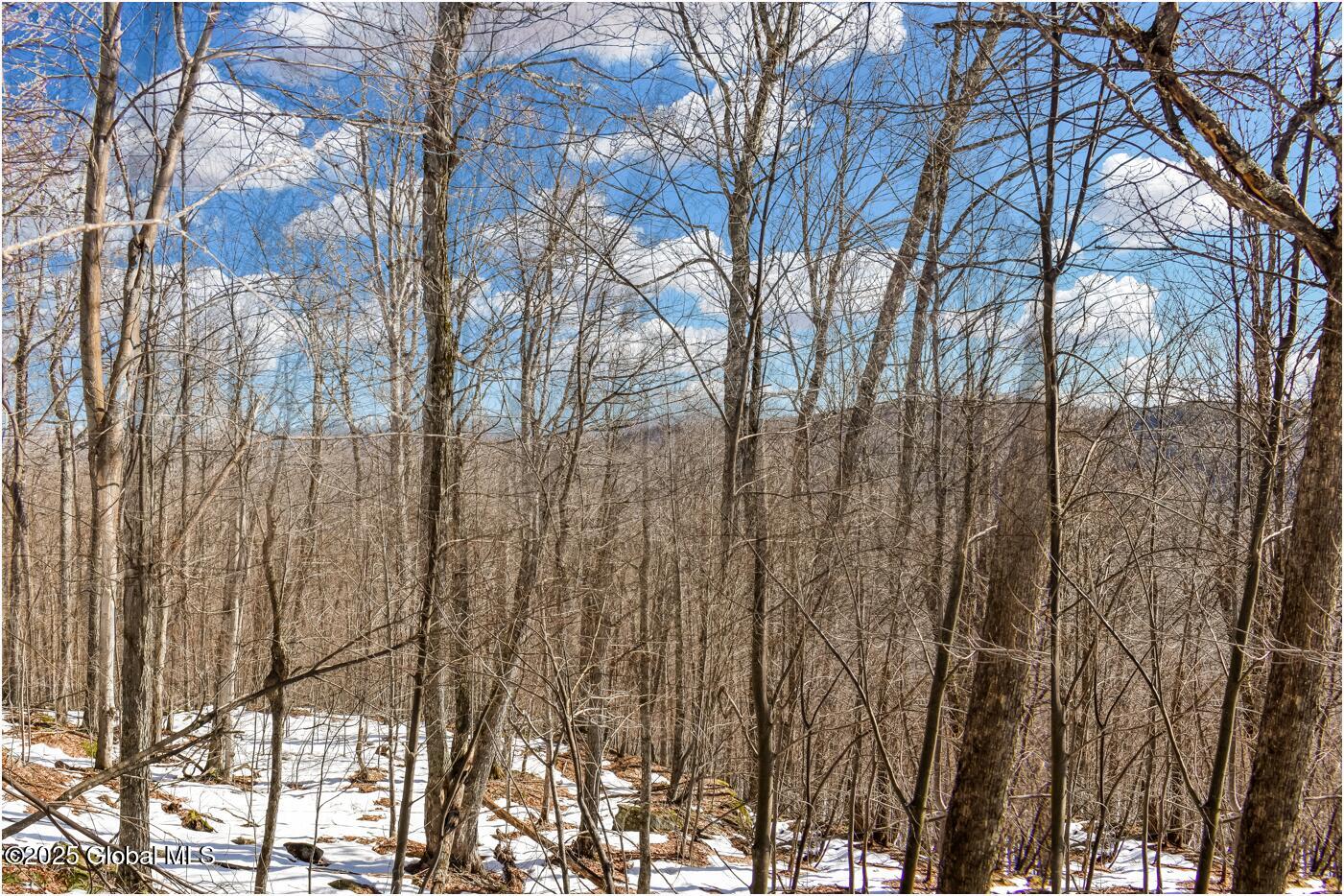 L64 Cooper Hill Road North Creek NY 12853