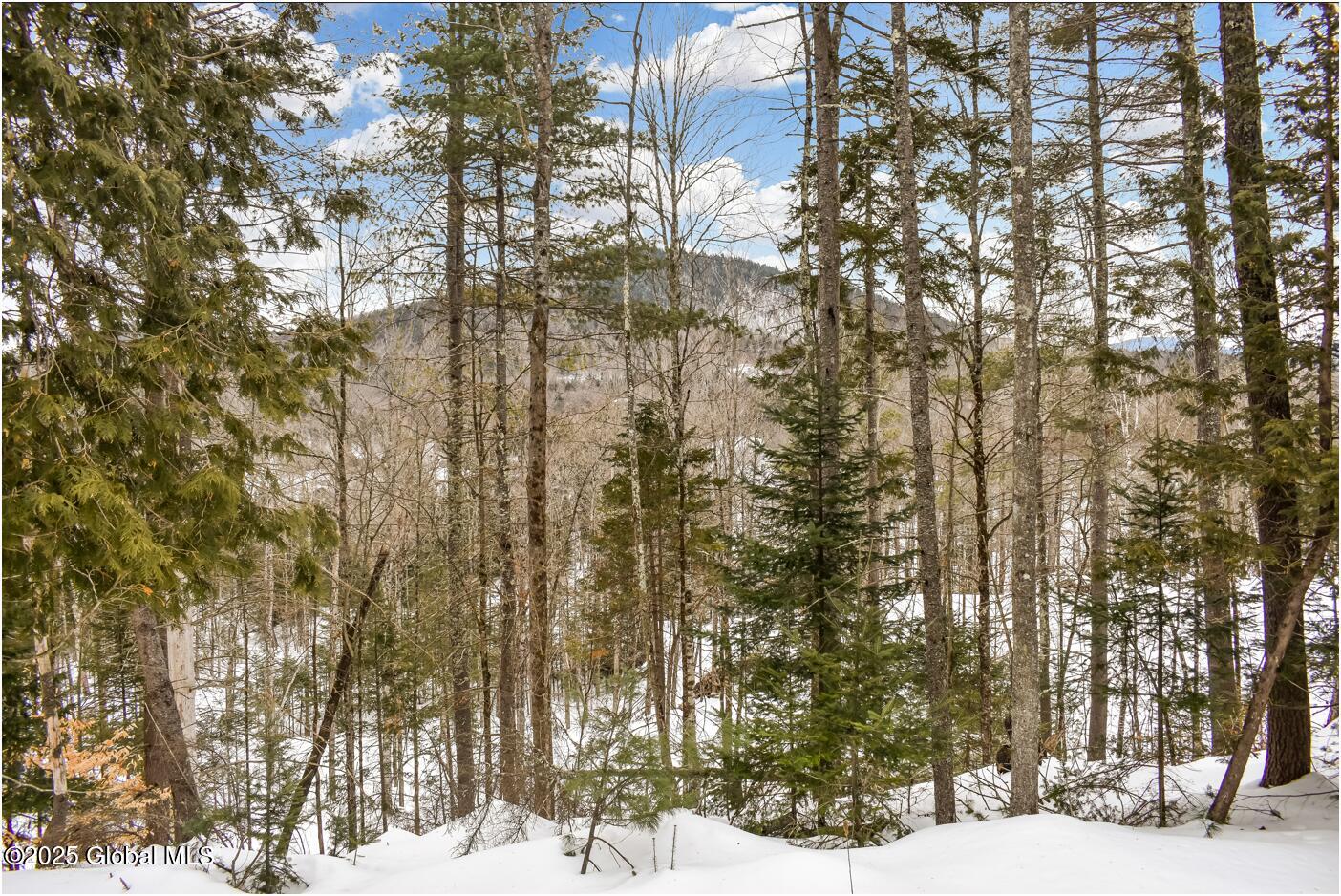 L64 Cooper Hill Road North Creek NY 12853