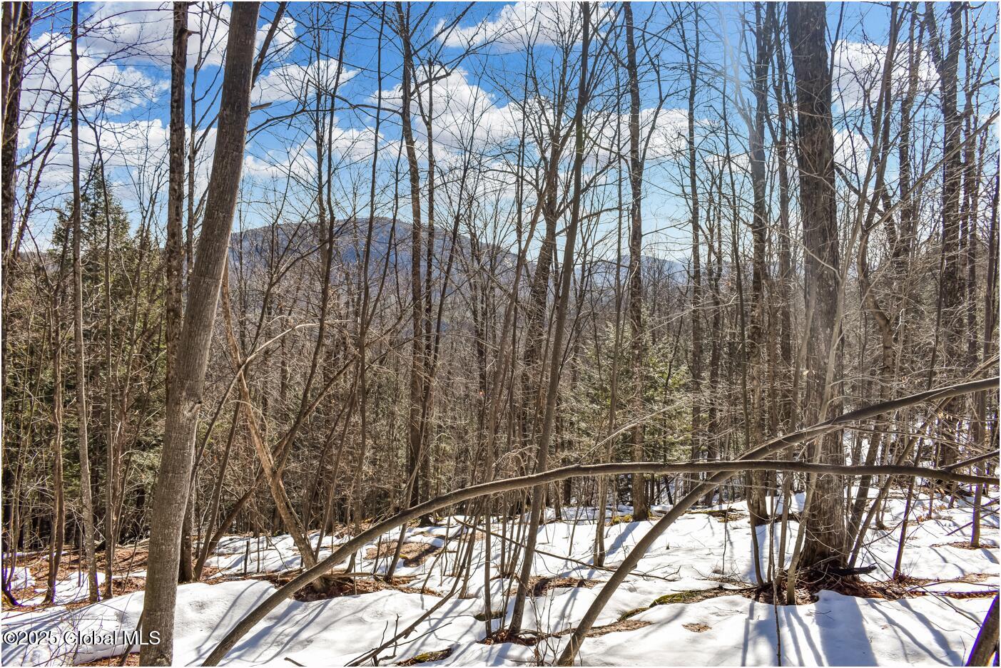 L64 Cooper Hill Road North Creek NY 12853