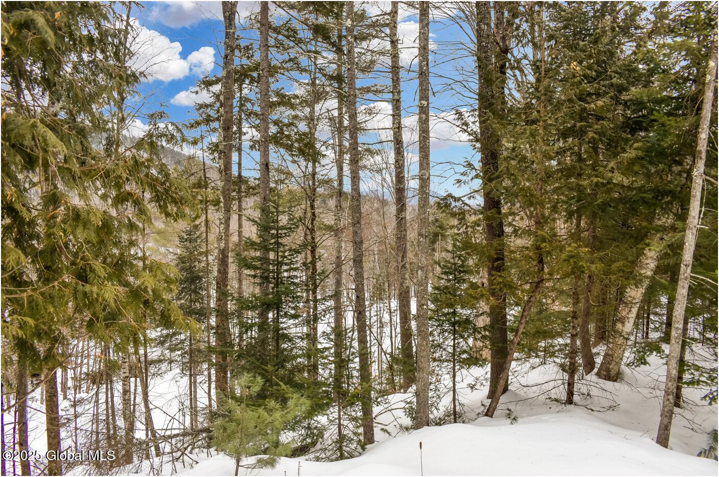 L64 Cooper Hill Road North Creek NY 12853