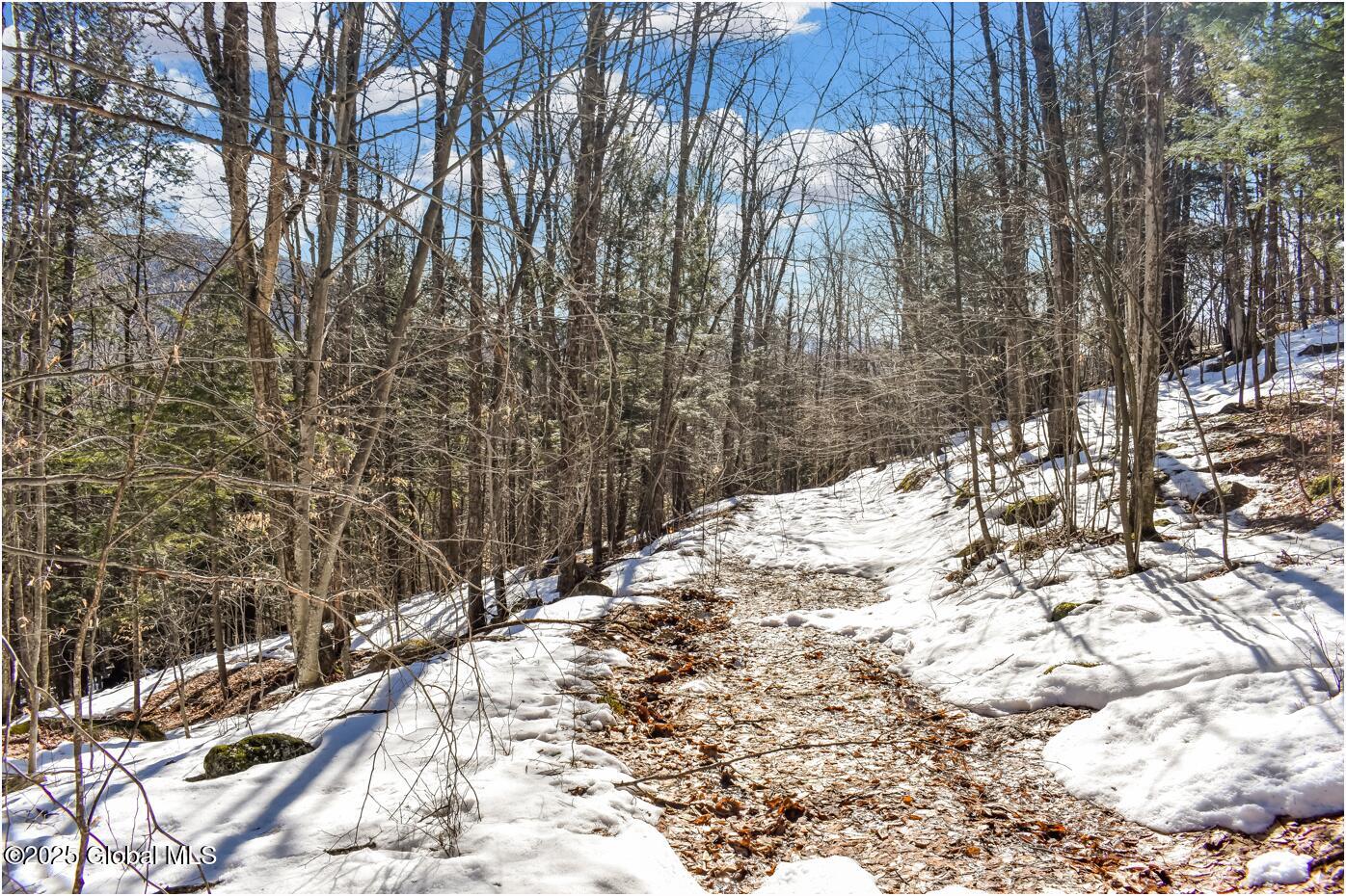 L64 Cooper Hill Road North Creek NY 12853