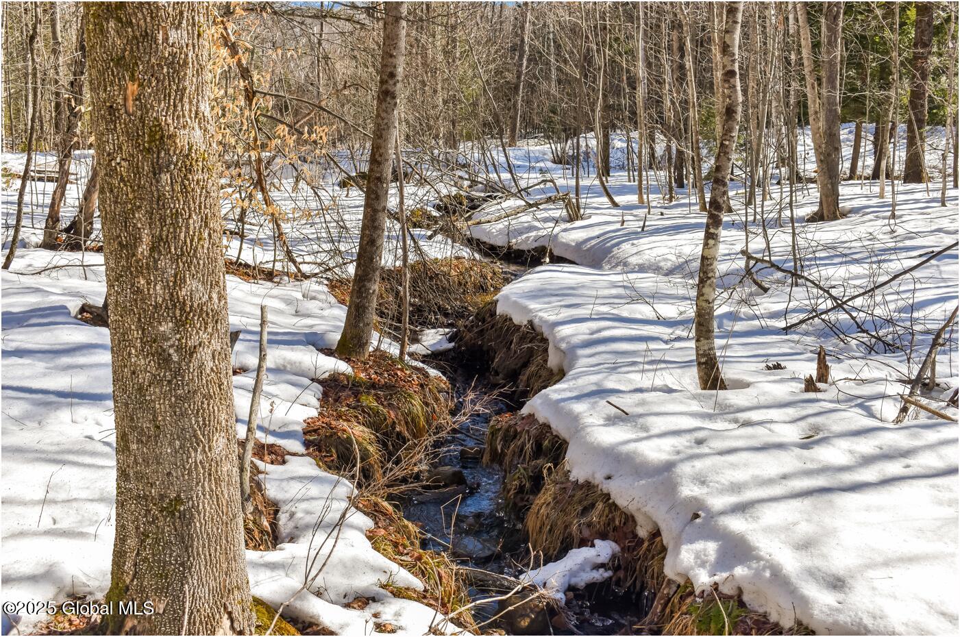 L64 Cooper Hill Road North Creek NY 12853