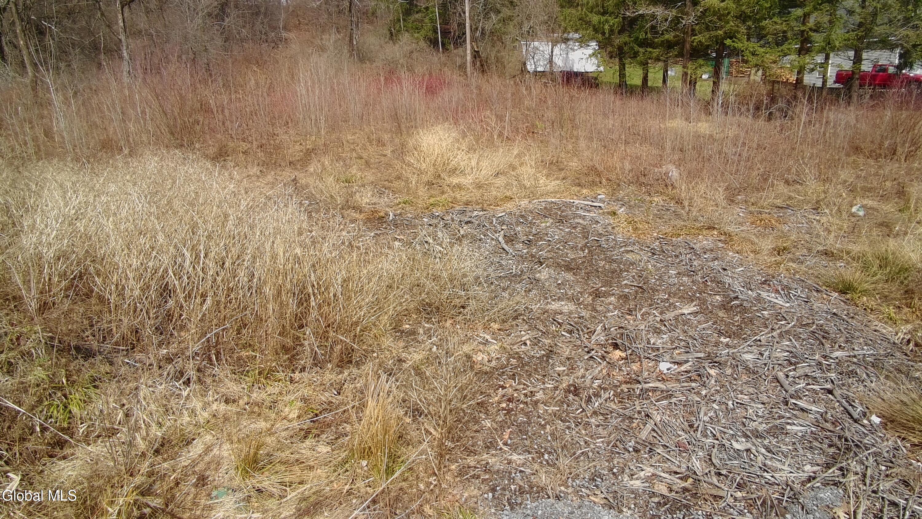 L-9 Hillside Pattersonville NY 12137