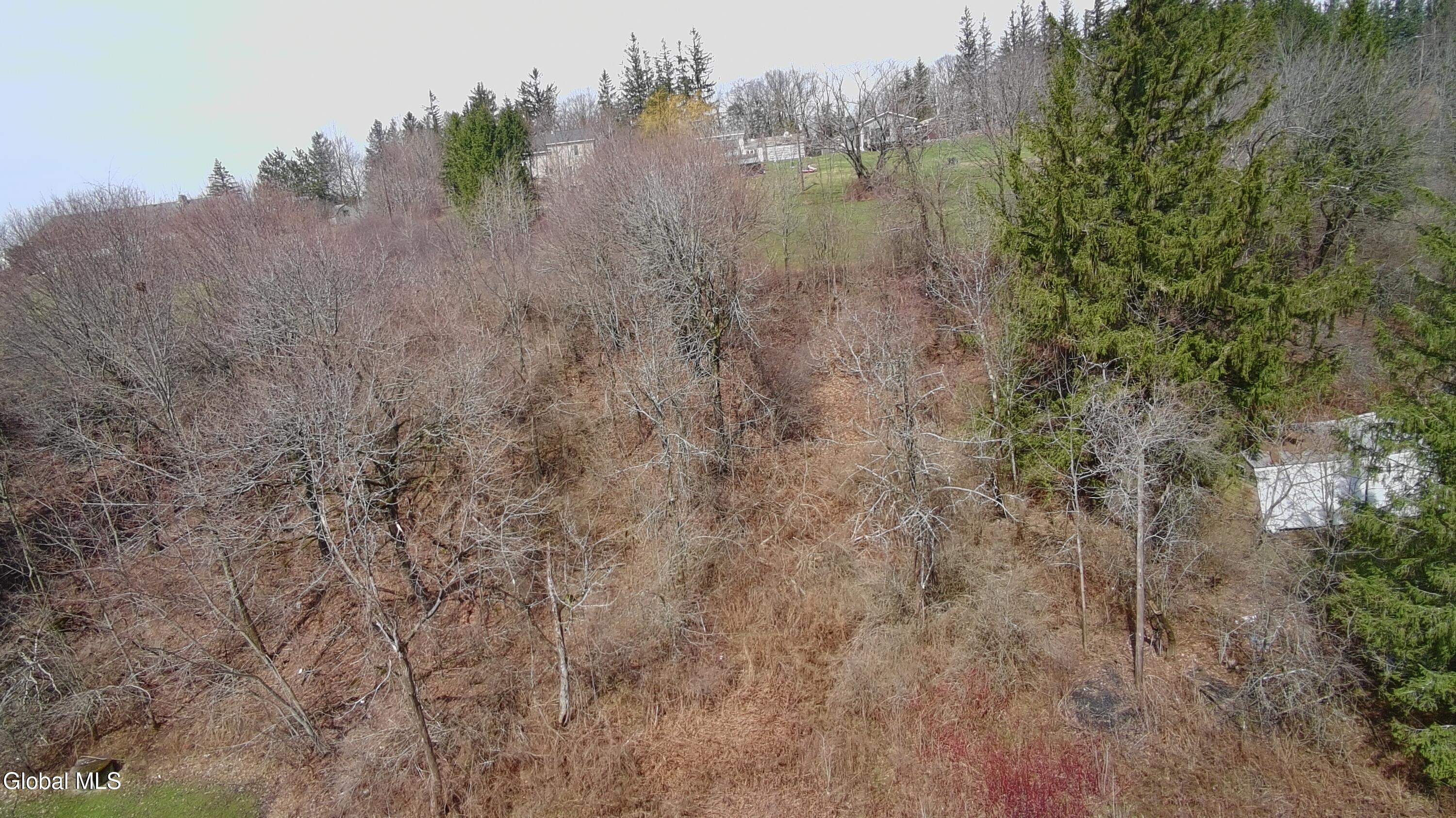 L-9 Hillside Pattersonville NY 12137