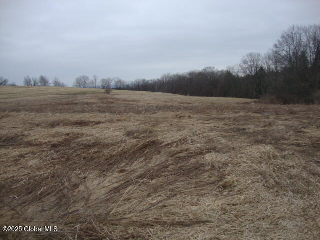 300 Gros Road Fort Plain NY 13339