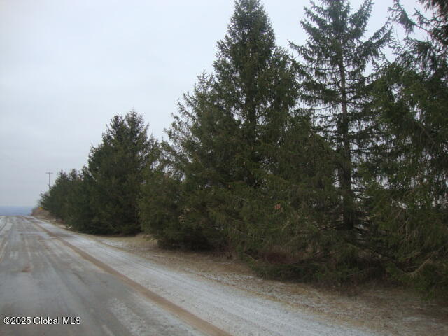 300 Gros Road Fort Plain NY 13339