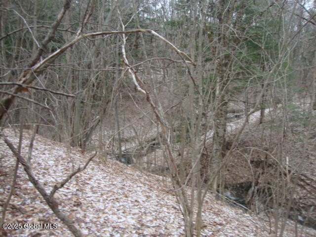 300 Gros Road Fort Plain NY 13339