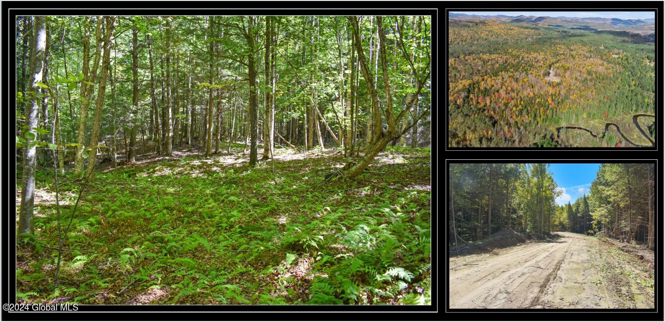 71 Carriage Knoll Road Chestertown NY 12817