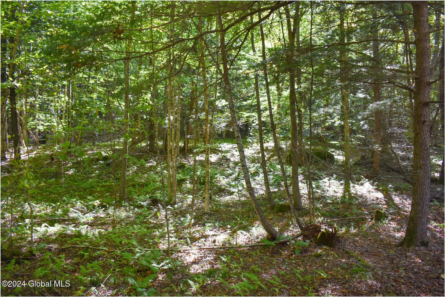 71 Carriage Knoll Road Chestertown NY 12817
