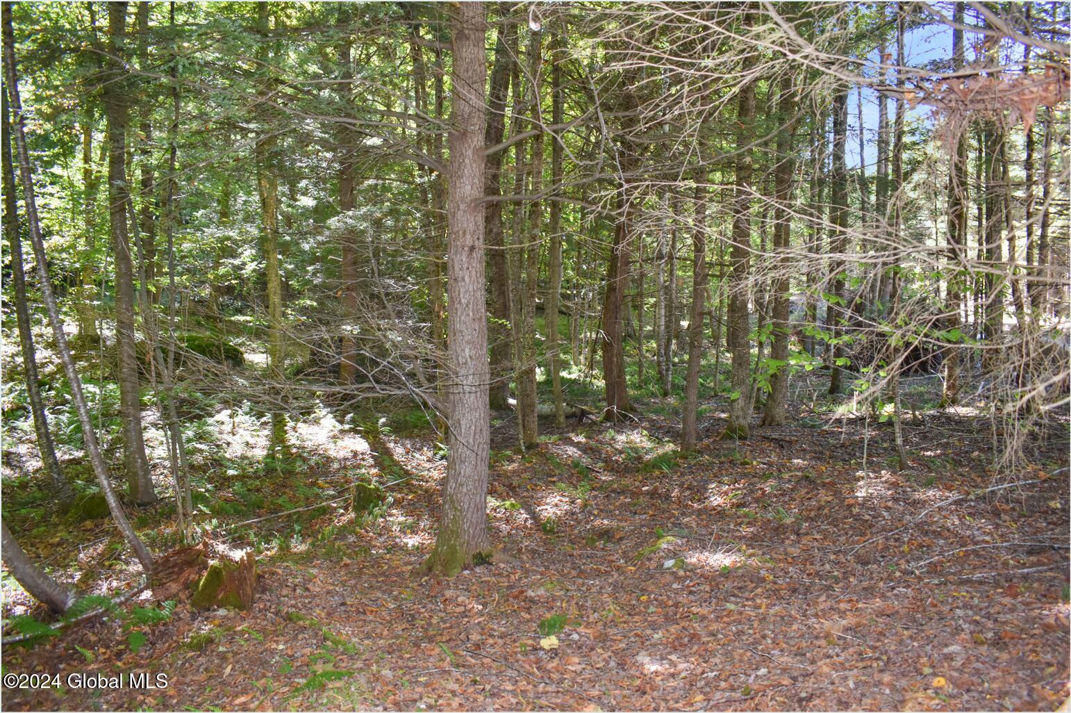 71 Carriage Knoll Road Chestertown NY 12817