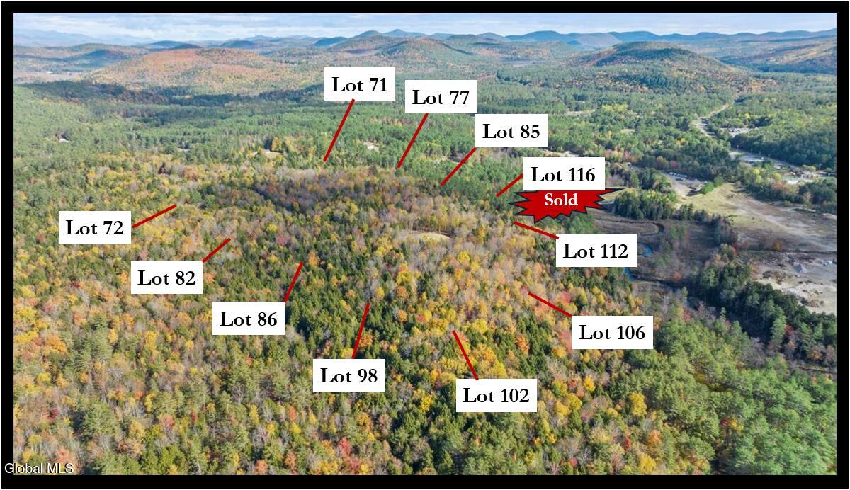 71 Carriage Knoll Road Chestertown NY 12817