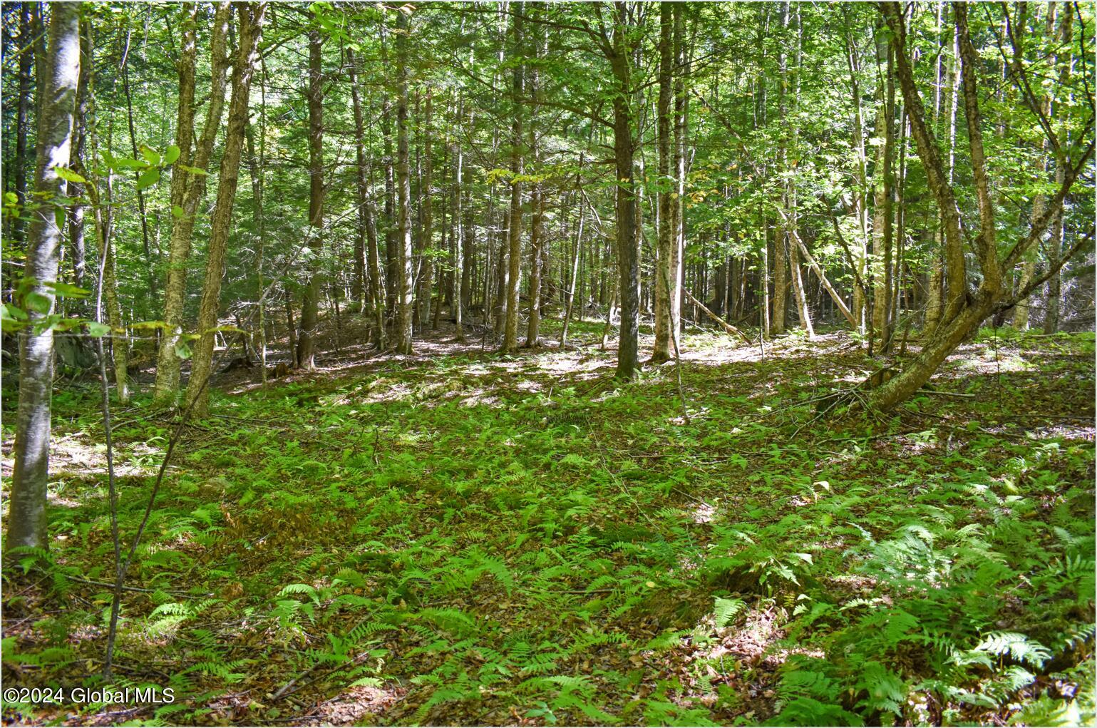 71 Carriage Knoll Road Chestertown NY 12817