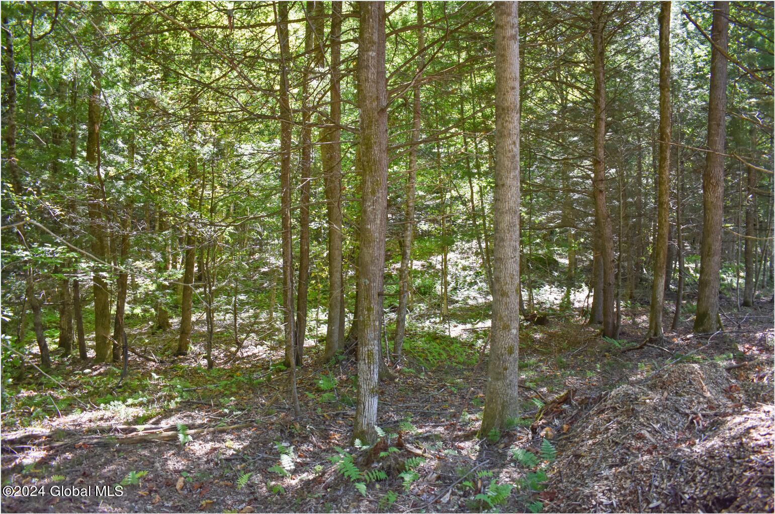 71 Carriage Knoll Road Chestertown NY 12817