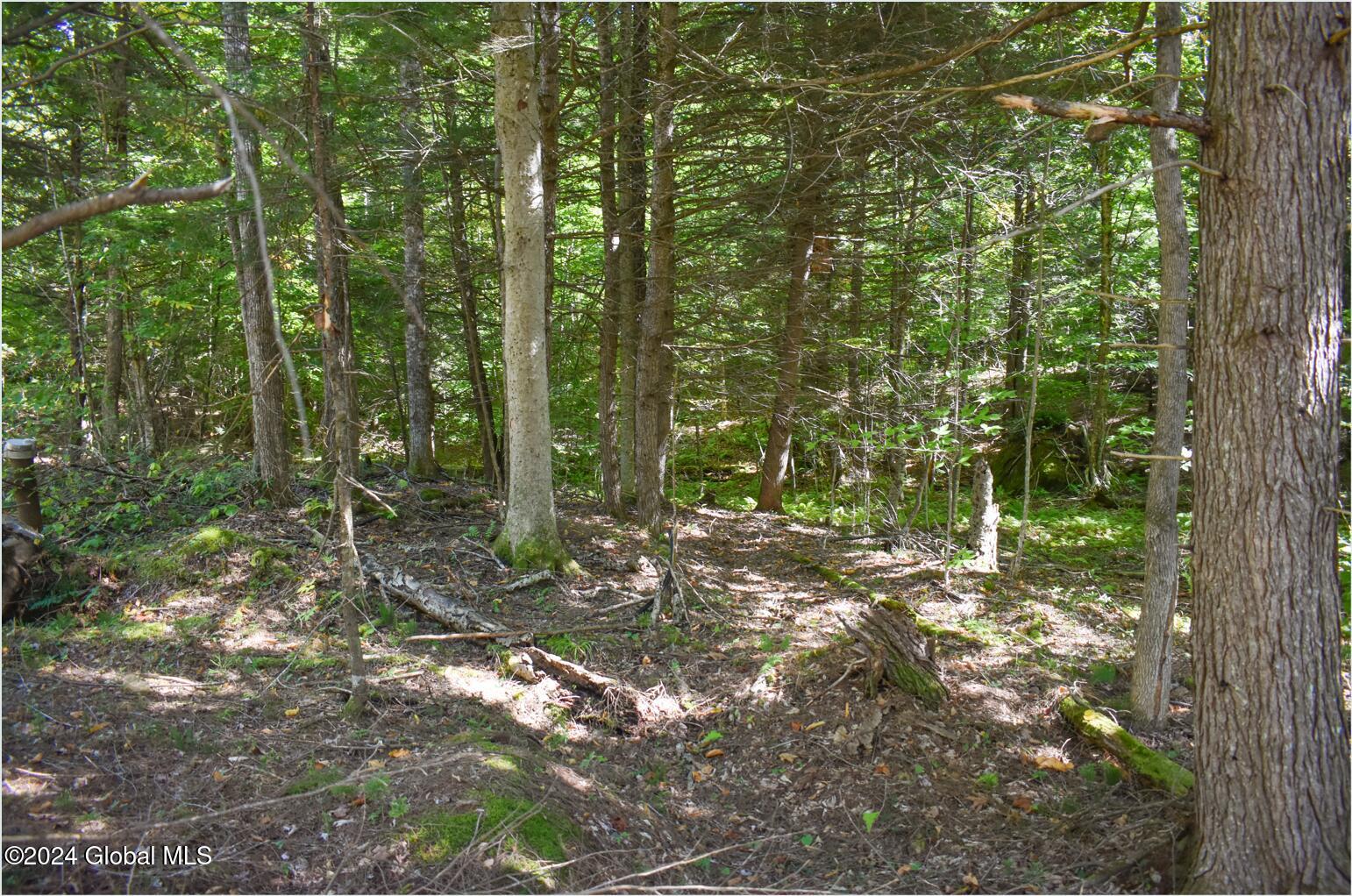 71 Carriage Knoll Road Chestertown NY 12817