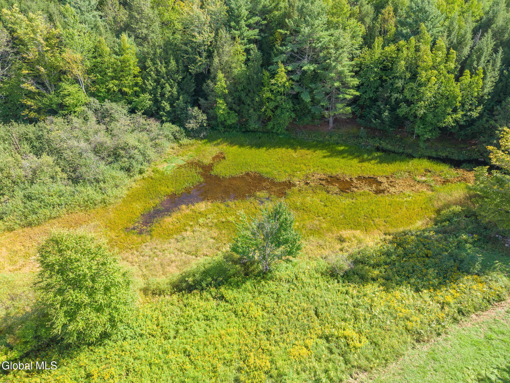 1034 Flat Creek Road Gilboa NY 12076