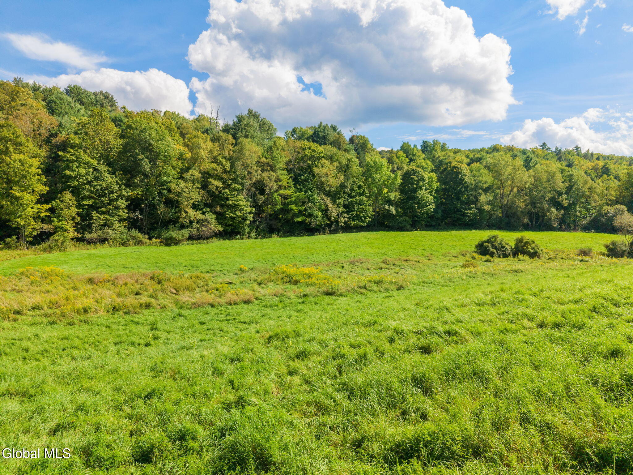 1034 Flat Creek Road Gilboa NY 12076