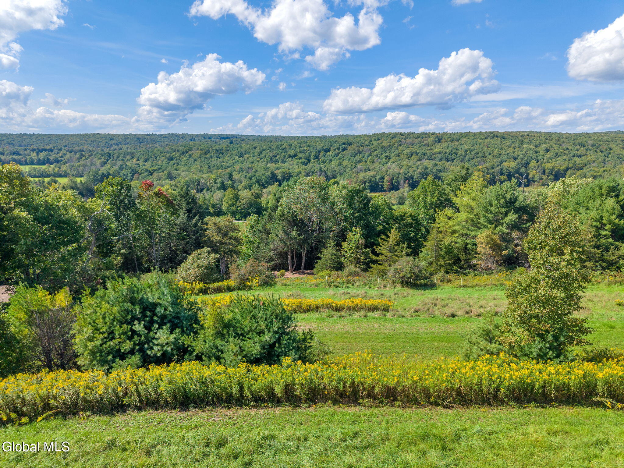 1034 Flat Creek Road Gilboa NY 12076