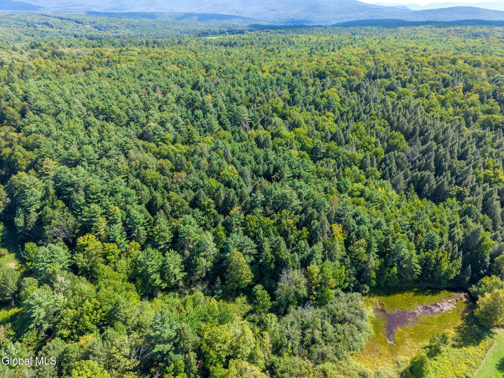1034 Flat Creek Road Gilboa NY 12076