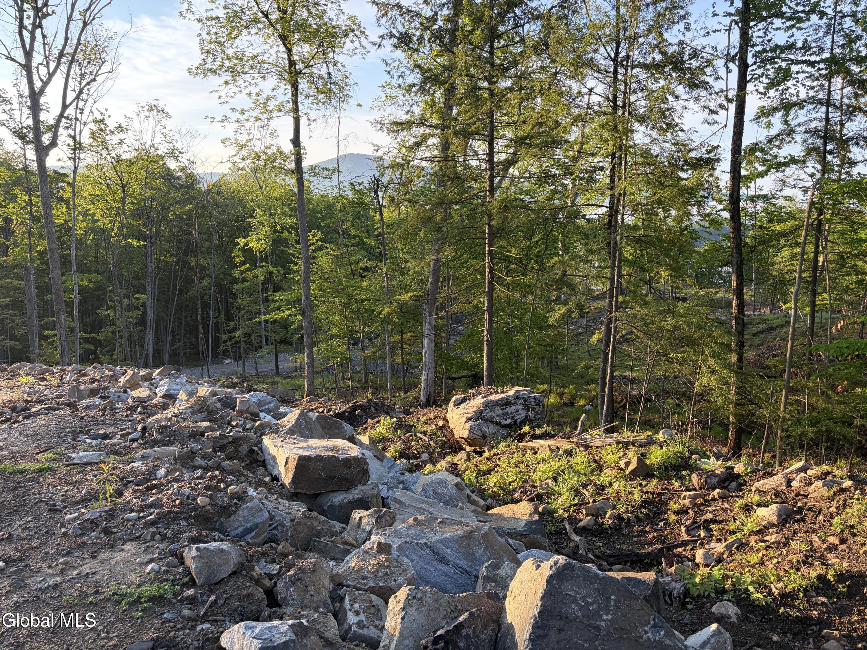 33 Pine Hill Road Bolton Landing NY 12814
