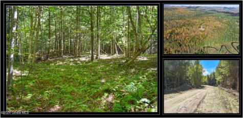 85 Carriage Knoll Road Chestertown NY 12817