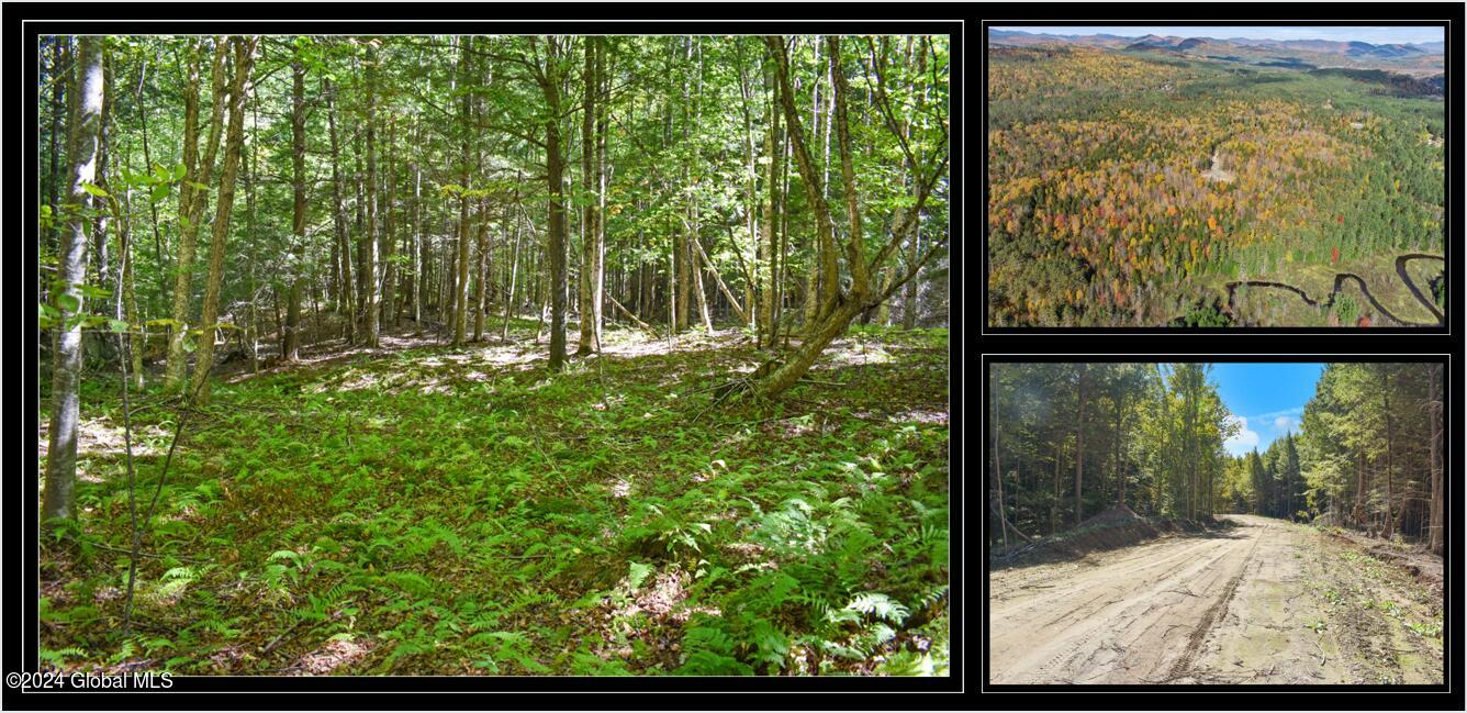 85 Carriage Knoll Road Chestertown NY 12817