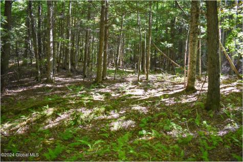 85 Carriage Knoll Road Chestertown NY 12817