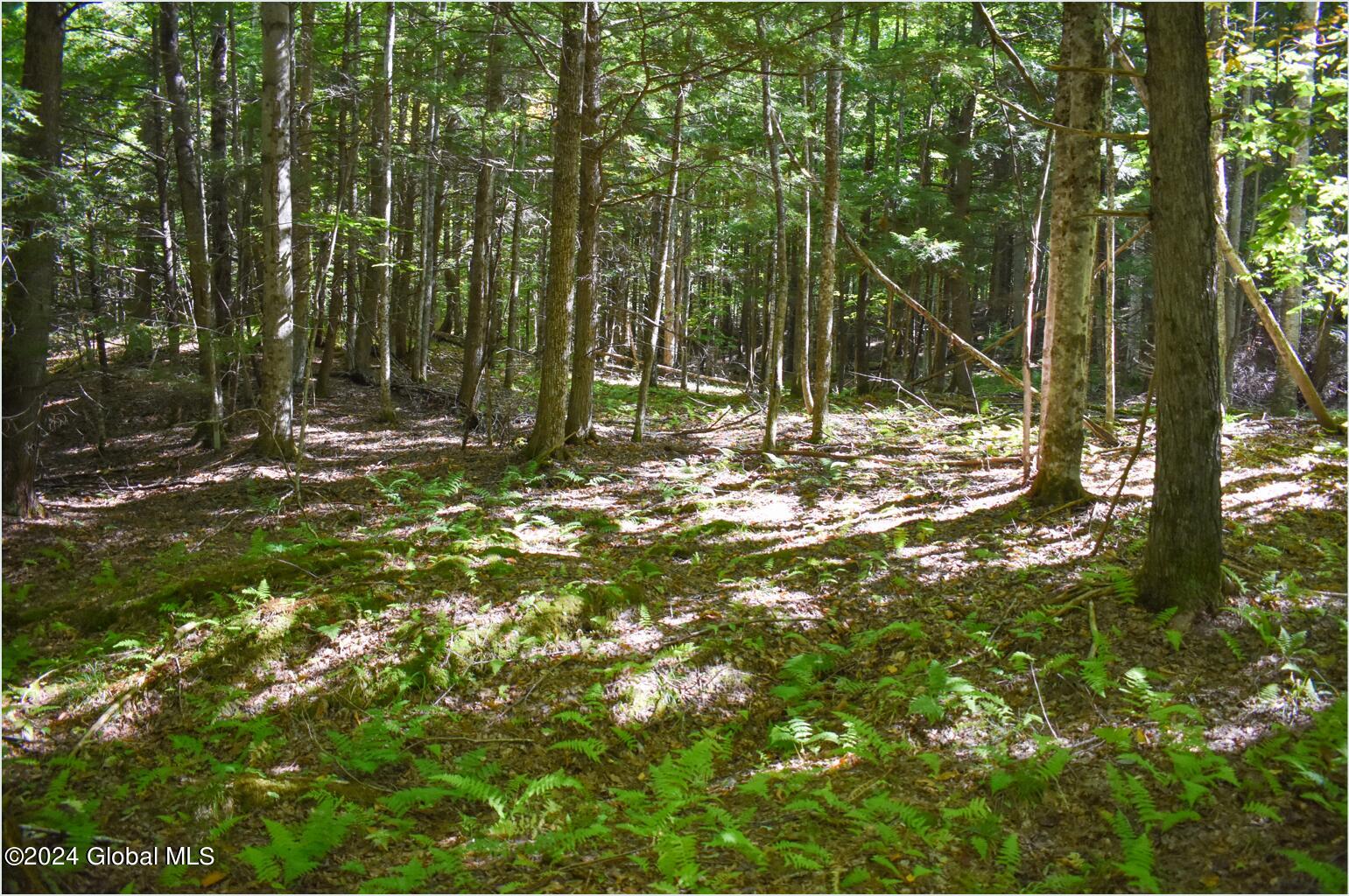 85 Carriage Knoll Road Chestertown NY 12817