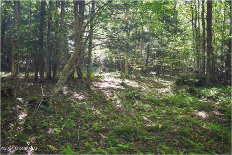 85 Carriage Knoll Road Chestertown NY 12817