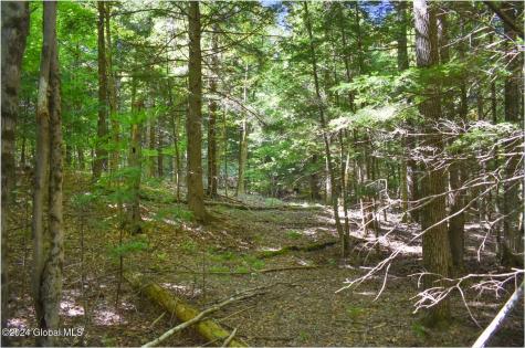 85 Carriage Knoll Road Chestertown NY 12817