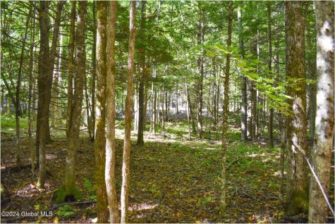 85 Carriage Knoll Road Chestertown NY 12817