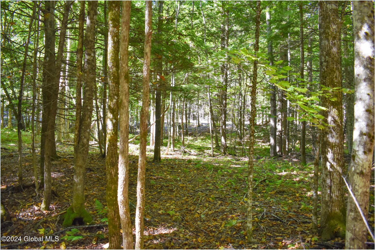 85 Carriage Knoll Road Chestertown NY 12817