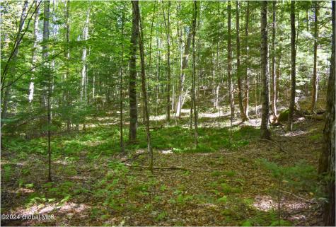 85 Carriage Knoll Road Chestertown NY 12817