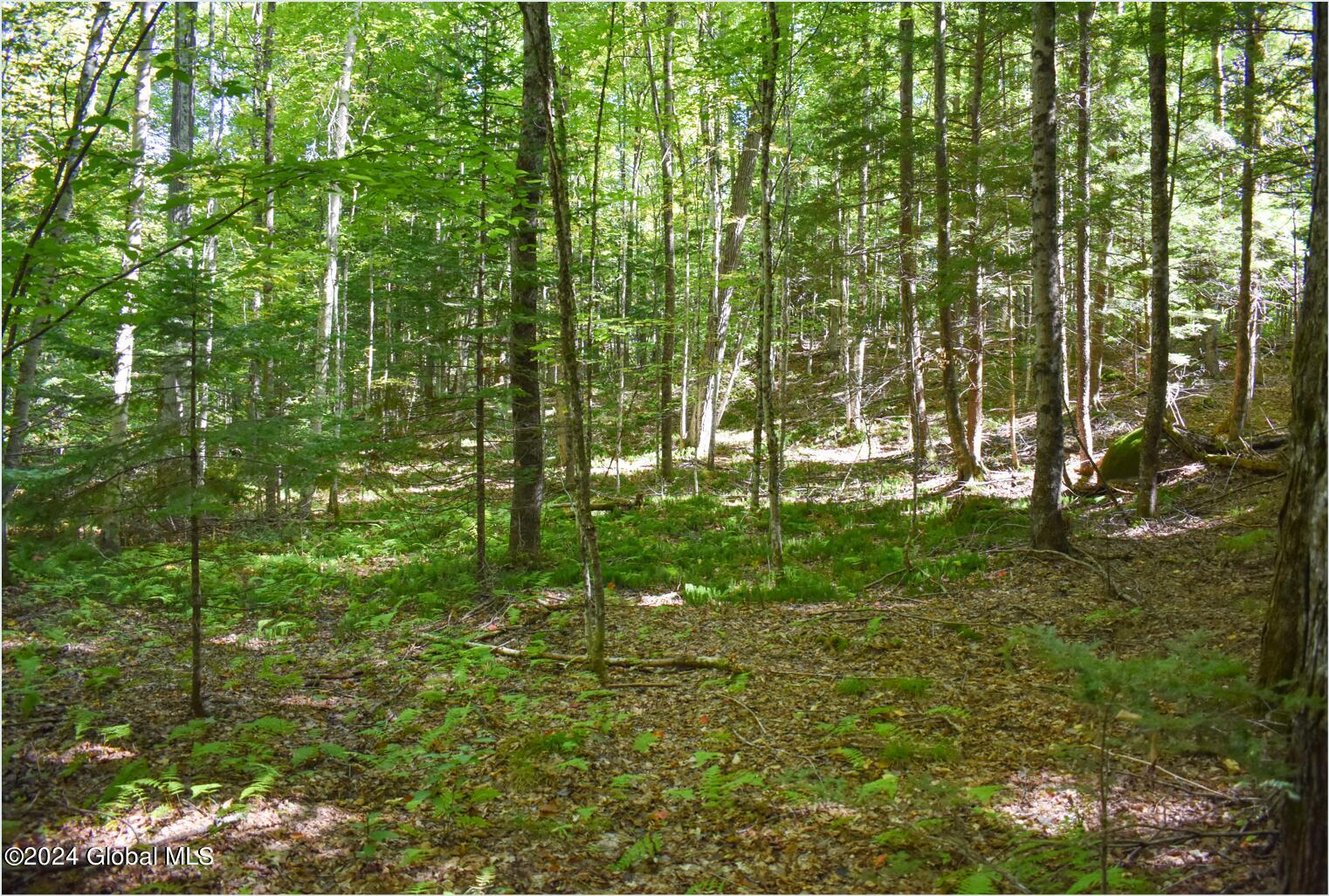 85 Carriage Knoll Road Chestertown NY 12817