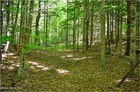 85 Carriage Knoll Road Chestertown NY 12817