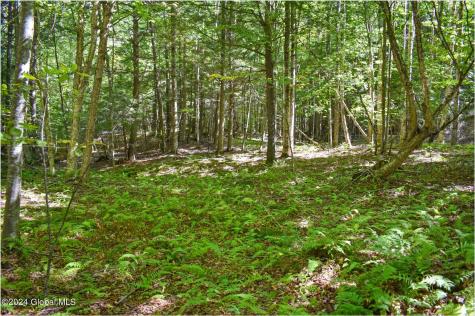 85 Carriage Knoll Road Chestertown NY 12817