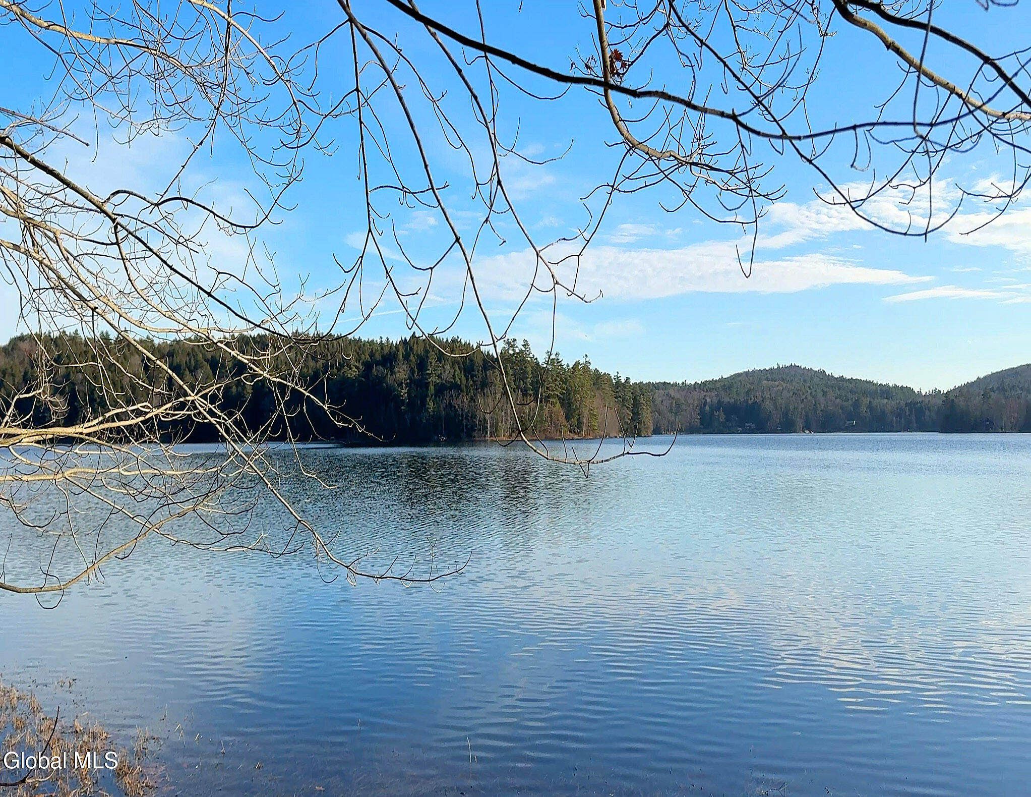 26 Teds Way Diamond Point NY 12824