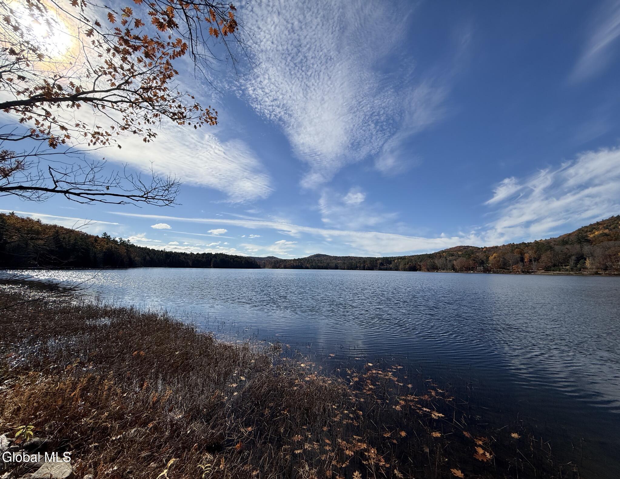 26 Teds Way Diamond Point NY 12824