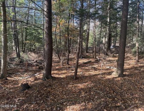 26 Teds Way Diamond Point NY 12824
