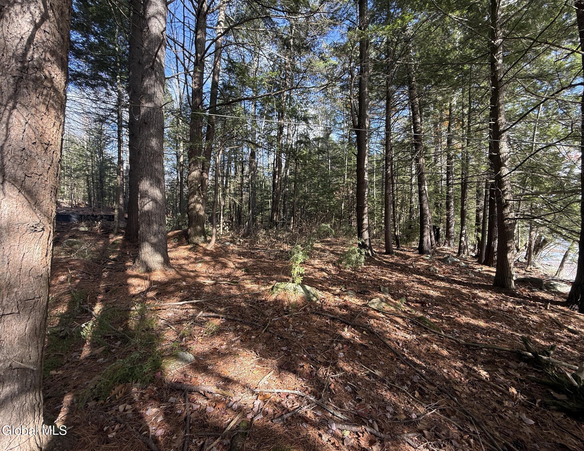 26 Teds Way Diamond Point NY 12824