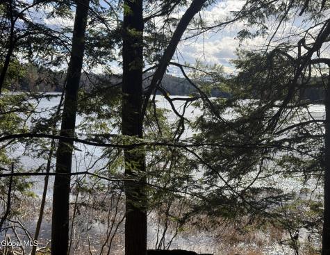 26 Teds Way Diamond Point NY 12824