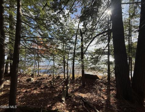 26 Teds Way Diamond Point NY 12824
