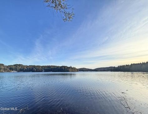 26 Teds Way Diamond Point NY 12824