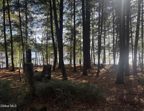26 Teds Way Diamond Point NY 12824