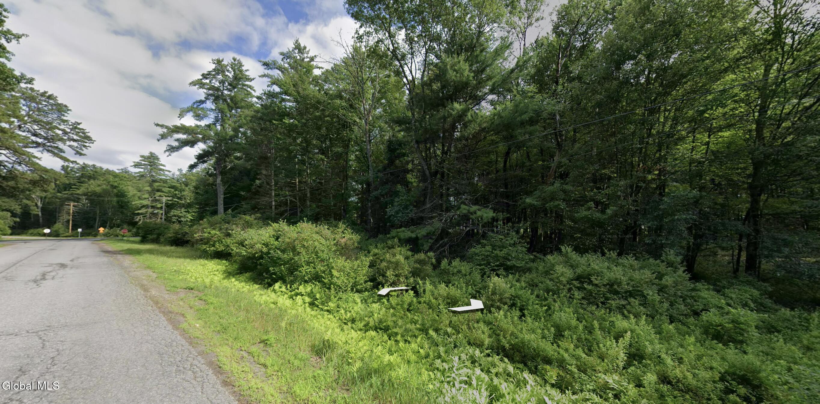107 Scout Road Gansevoort NY 12831