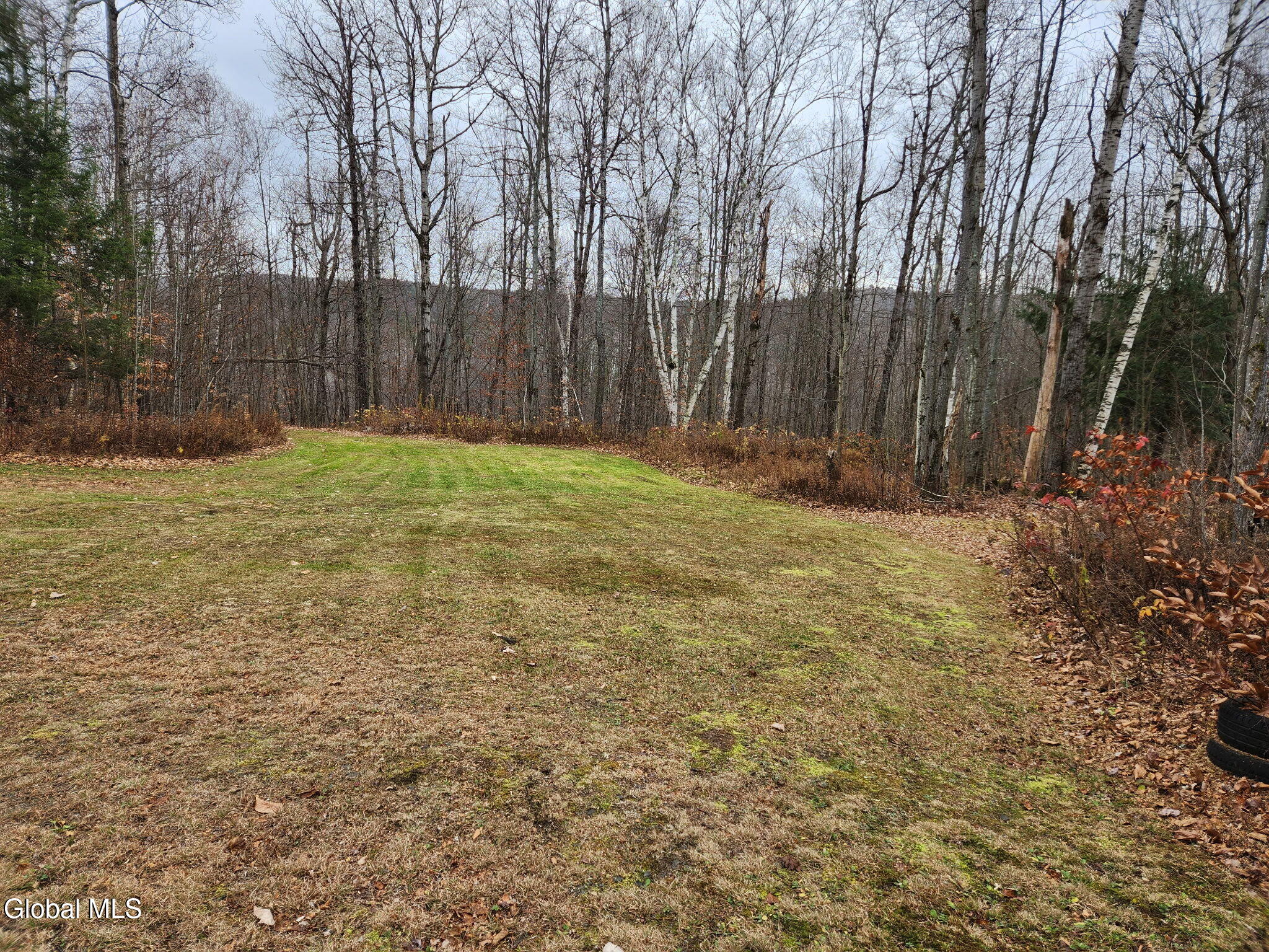 L7.02 Truax Road Worcester NY 12197