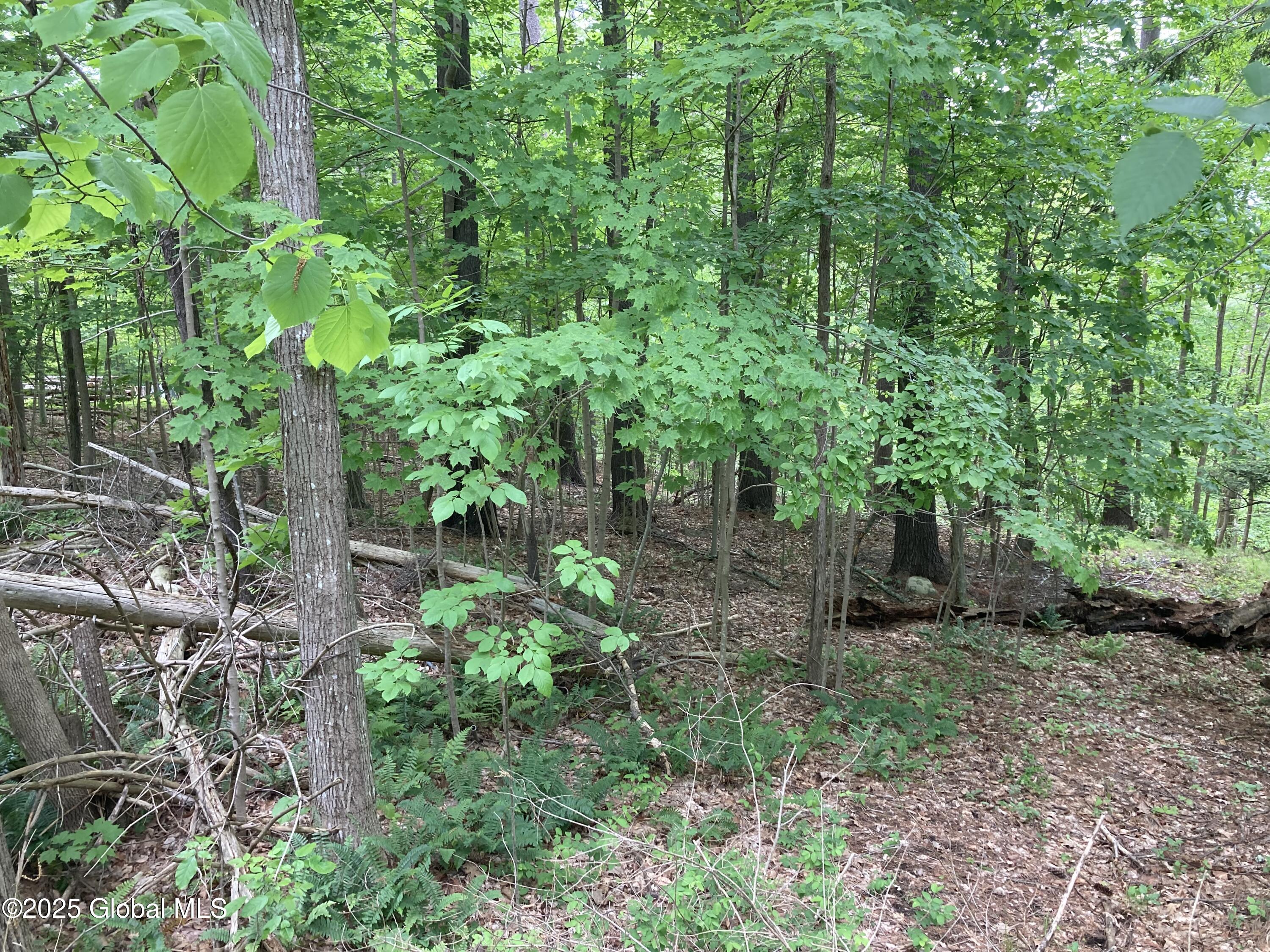 L3 Pine Springs Drive Ticonderoga NY 12883