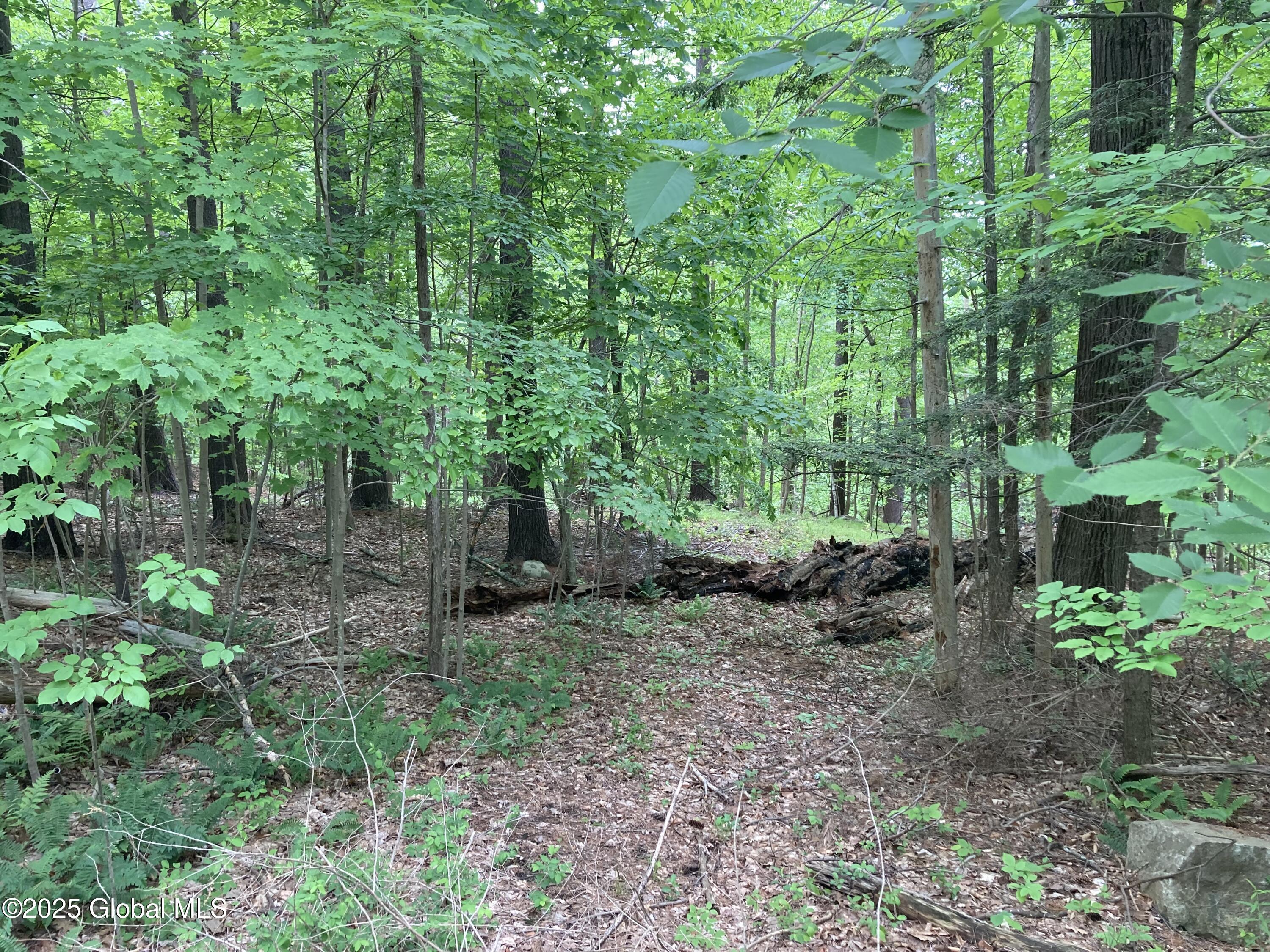 L3 Pine Springs Drive Ticonderoga NY 12883