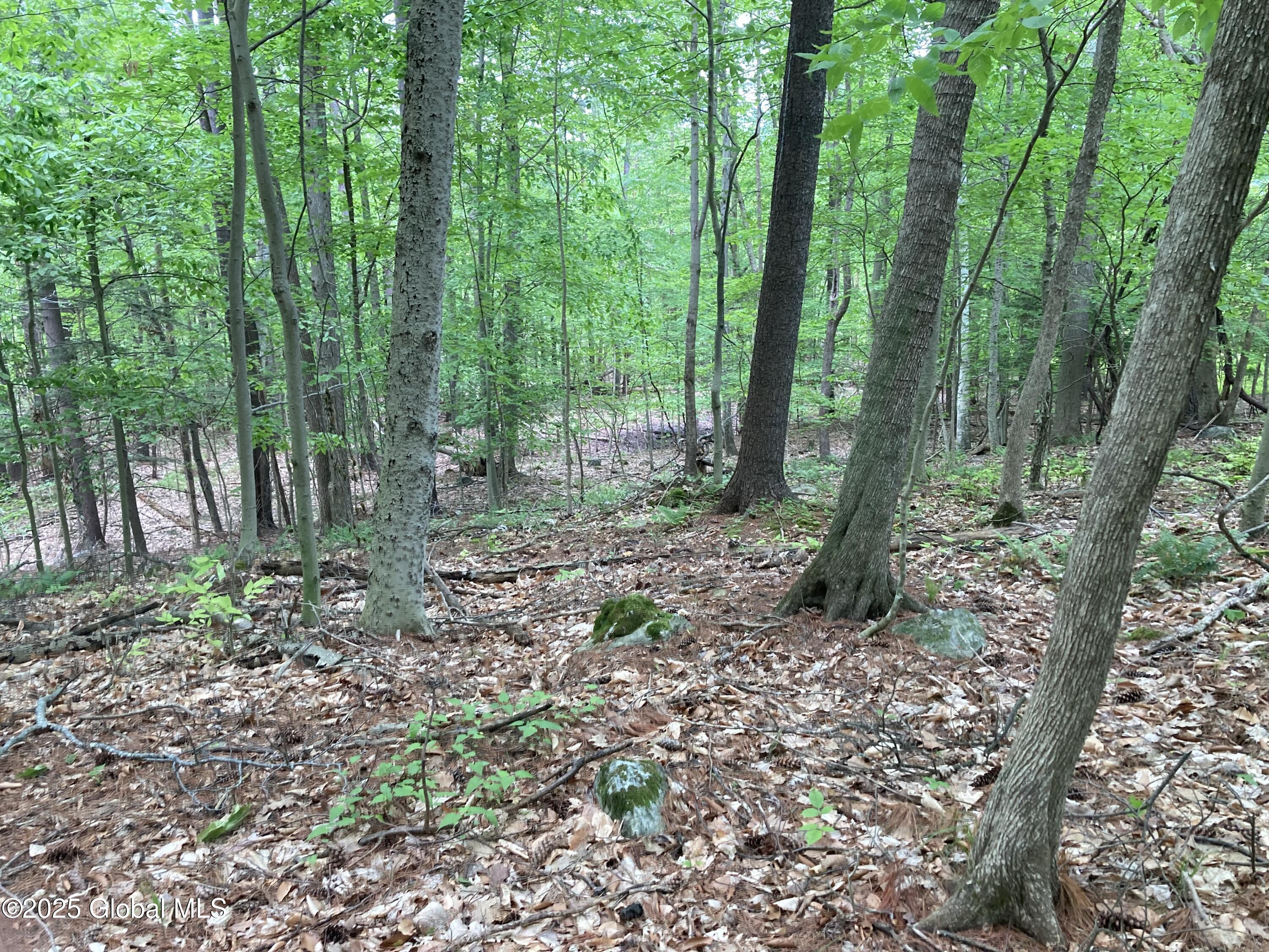 L3 Pine Springs Drive Ticonderoga NY 12883