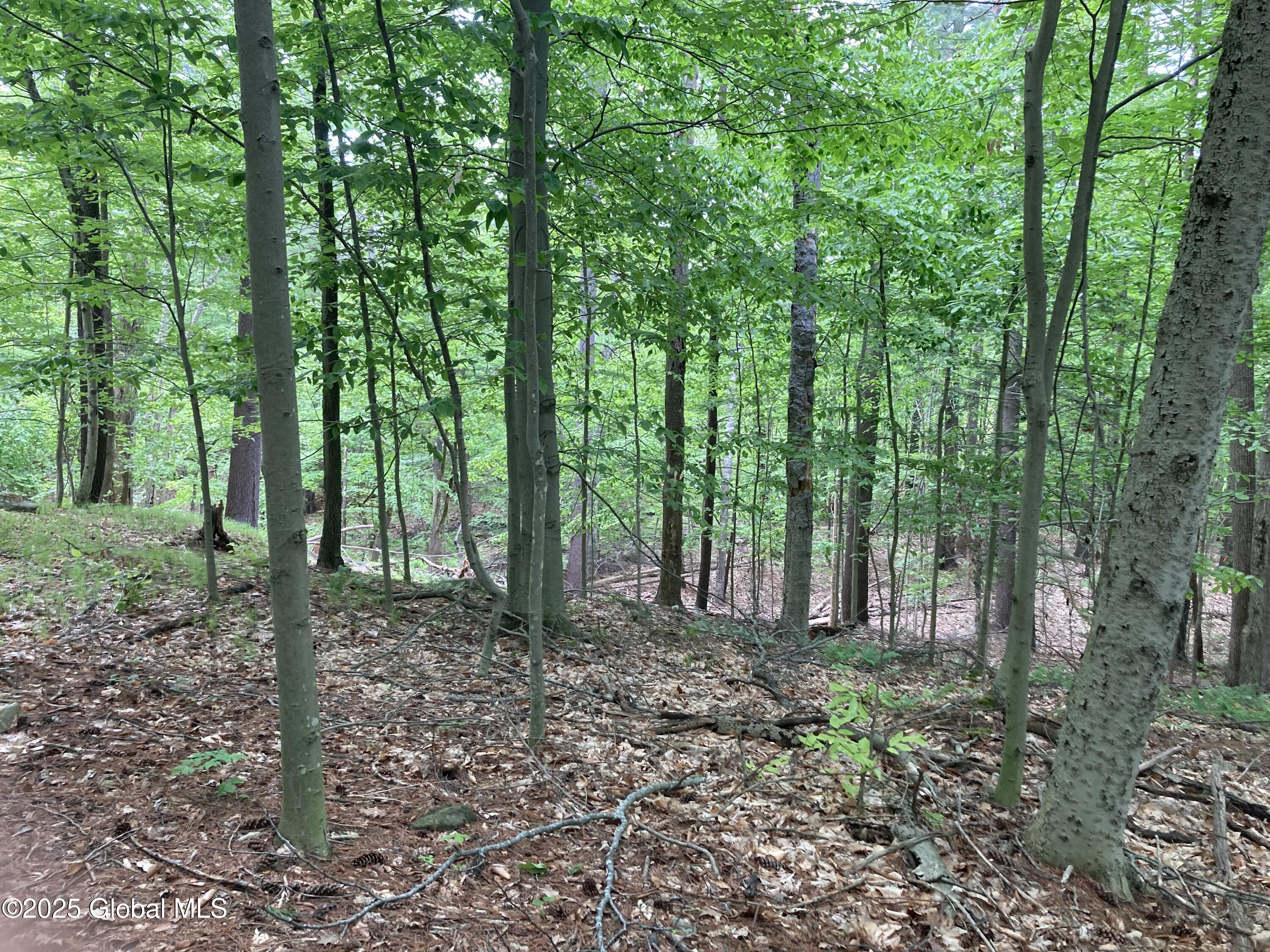 L3 Pine Springs Drive Ticonderoga NY 12883